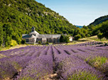 Médipages Le Pontet